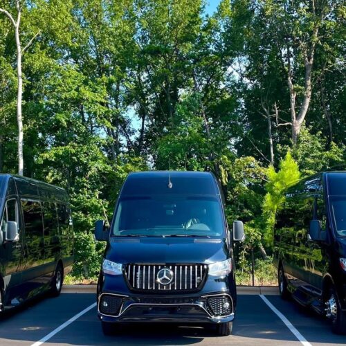 Sprinter